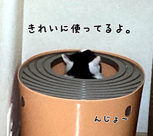 f:id:fukufukudo:20210308215145j:plain