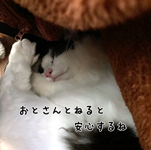 f:id:fukufukudo:20210308215204j:plain