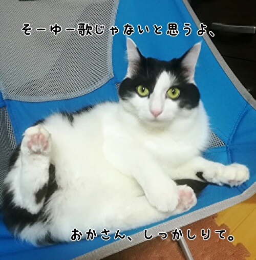 f:id:fukufukudo:20210310153857j:plain