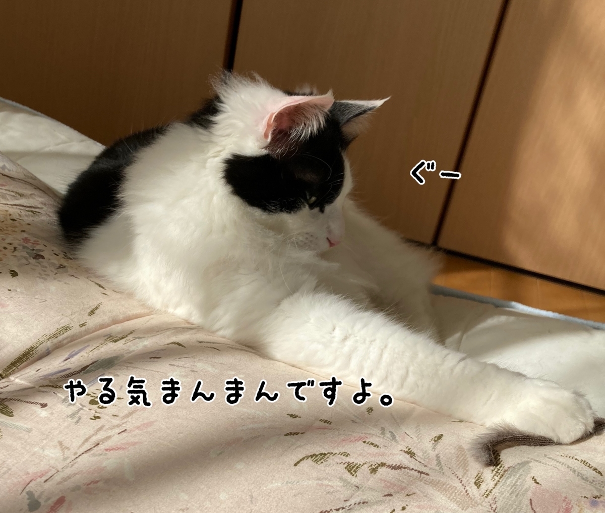 f:id:fukufukudo:20210312134218j:plain