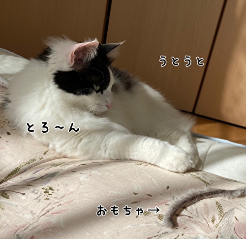 f:id:fukufukudo:20210316112949j:plain