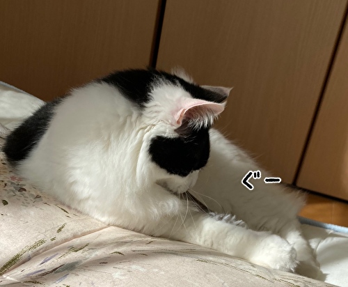 f:id:fukufukudo:20210316125058j:plain