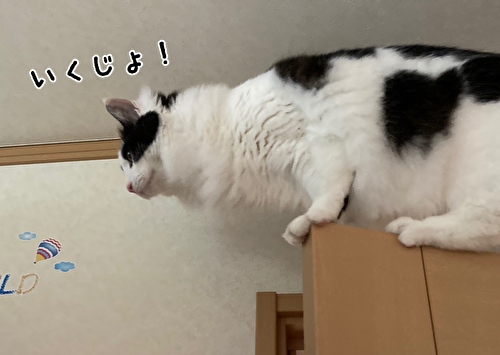 f:id:fukufukudo:20210316144012j:plain