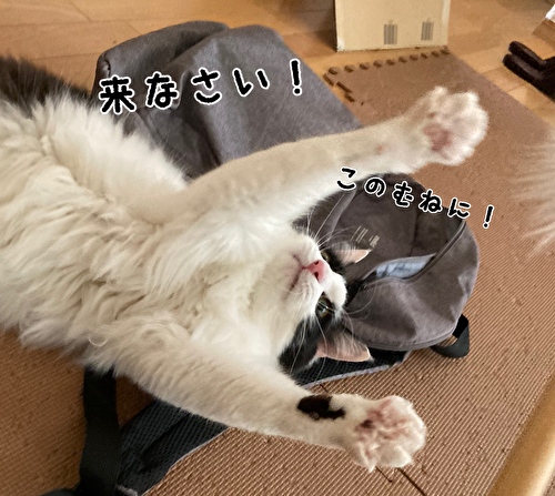 f:id:fukufukudo:20210320081854j:plain