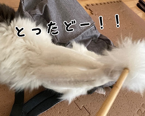 f:id:fukufukudo:20210320081913j:plain