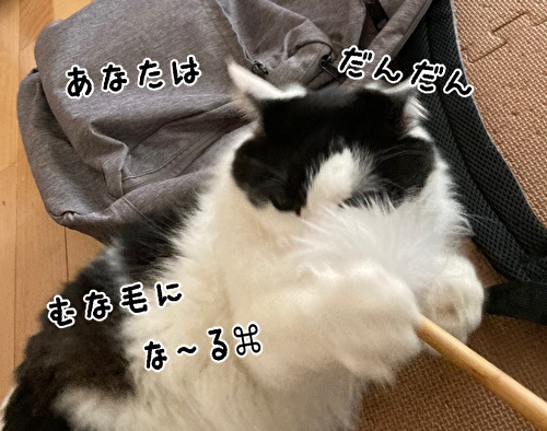 f:id:fukufukudo:20210320081943j:plain