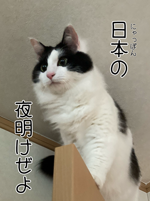 f:id:fukufukudo:20210320082217p:plain