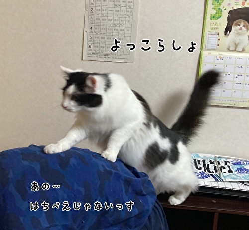 f:id:fukufukudo:20210323145114j:plain