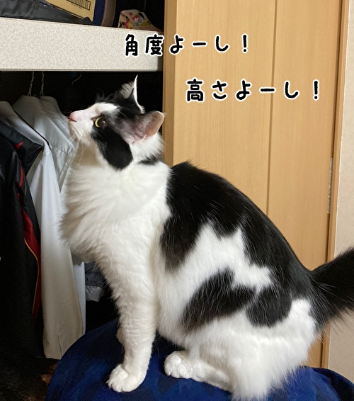 f:id:fukufukudo:20210323145210j:plain