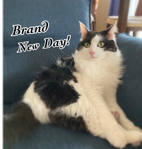 f:id:fukufukudo:20210401132930j:plain