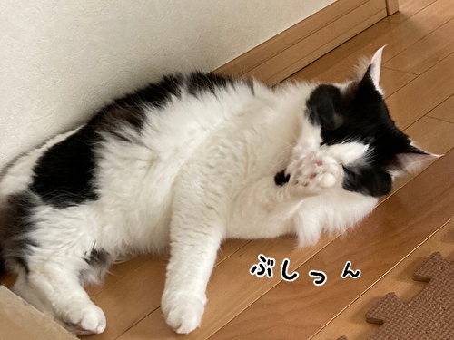 f:id:fukufukudo:20210403210013j:plain