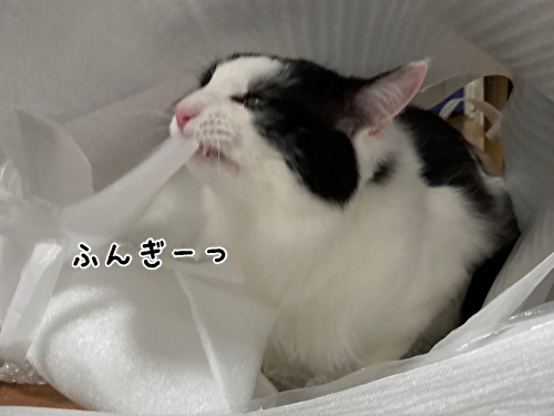f:id:fukufukudo:20210403210130j:plain