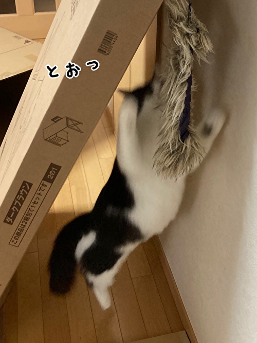 f:id:fukufukudo:20210406152825j:plain