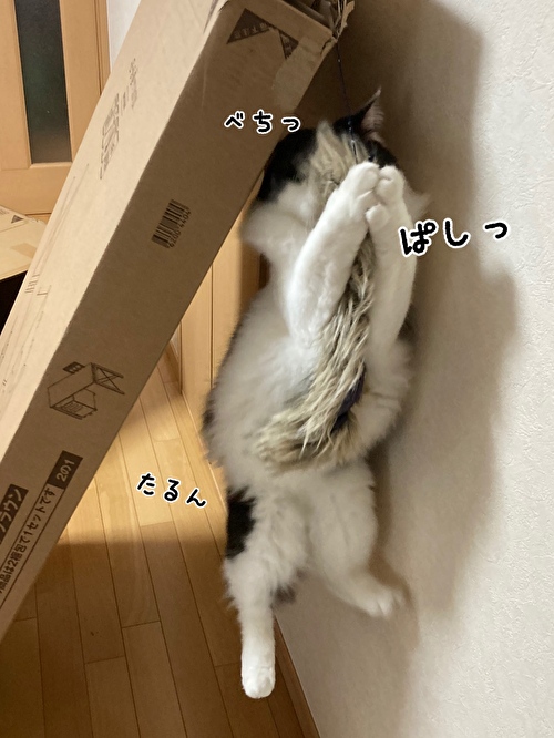 f:id:fukufukudo:20210406153001j:plain