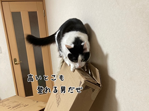 f:id:fukufukudo:20210406153037j:plain