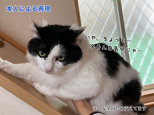 f:id:fukufukudo:20210406153451j:plain