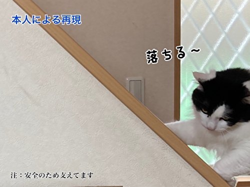 f:id:fukufukudo:20210406153532j:plain