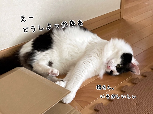 f:id:fukufukudo:20210408170603j:plain