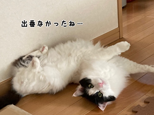 f:id:fukufukudo:20210410135041j:plain