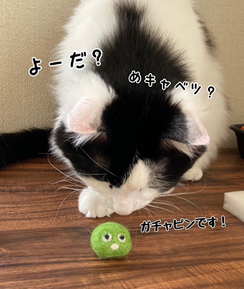 f:id:fukufukudo:20210414121504j:plain