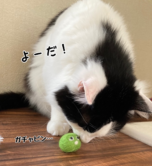 f:id:fukufukudo:20210414121517j:plain