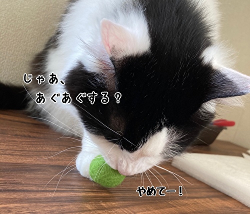 f:id:fukufukudo:20210414121552j:plain