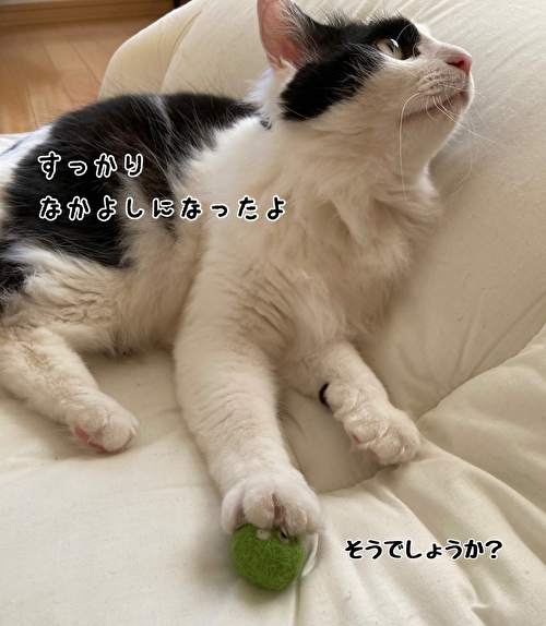 f:id:fukufukudo:20210414121606j:plain