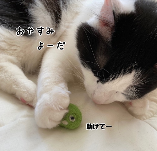 f:id:fukufukudo:20210414121628j:plain