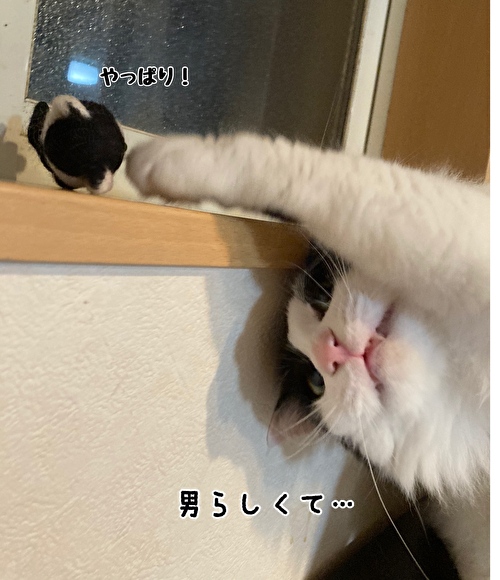 f:id:fukufukudo:20210418151616j:plain