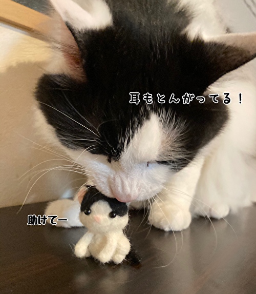 f:id:fukufukudo:20210418151627j:plain