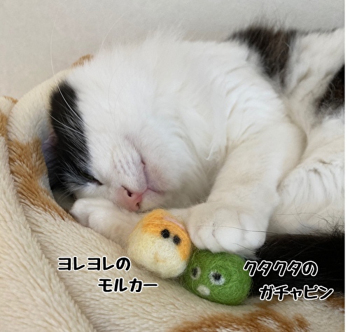 f:id:fukufukudo:20210419091744j:plain