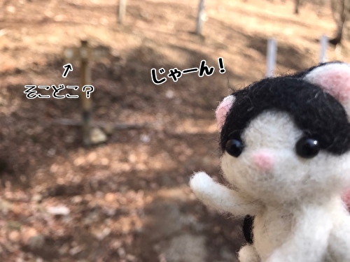 f:id:fukufukudo:20210420161615j:plain