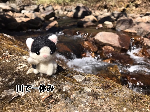 f:id:fukufukudo:20210420161710j:plain