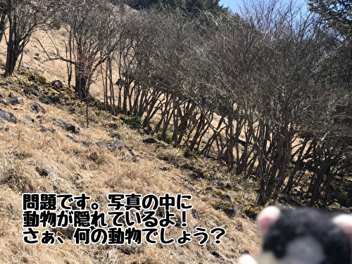 f:id:fukufukudo:20210420161934j:plain