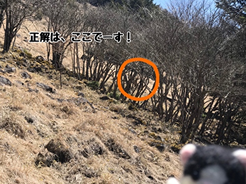 f:id:fukufukudo:20210420161949j:plain