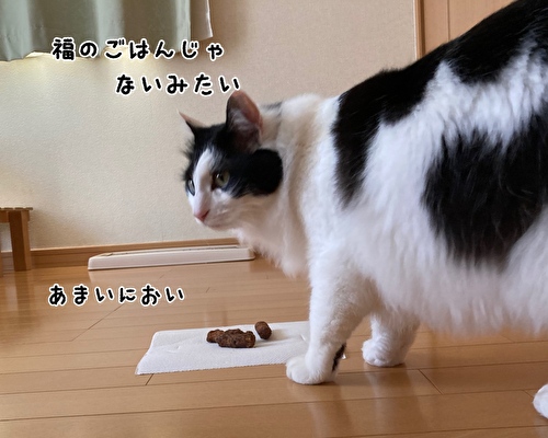 f:id:fukufukudo:20210420182533j:plain