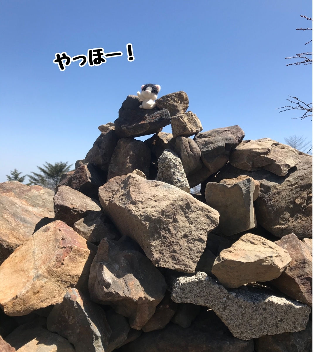 f:id:fukufukudo:20210420184137j:plain