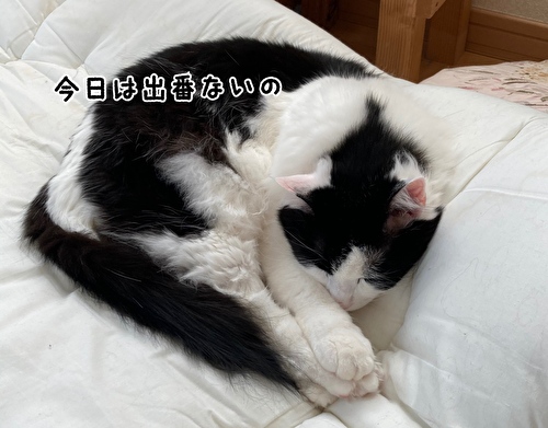 f:id:fukufukudo:20210422132515j:plain