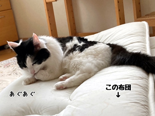 f:id:fukufukudo:20210426094059j:plain