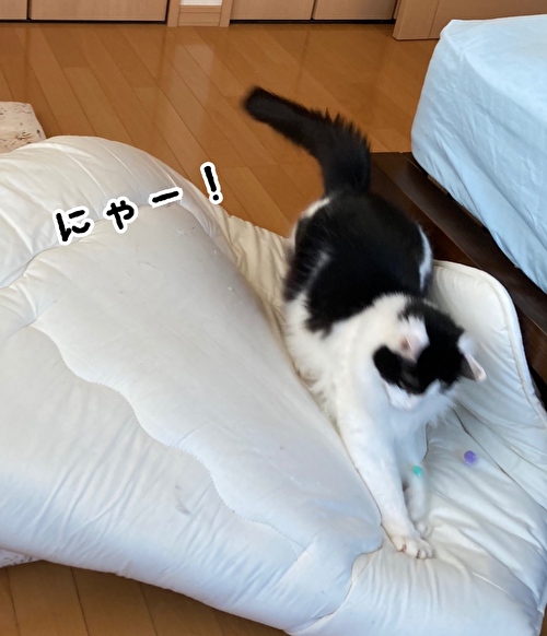 f:id:fukufukudo:20210426094126j:plain