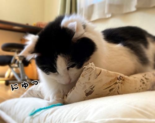 f:id:fukufukudo:20210426094140j:plain