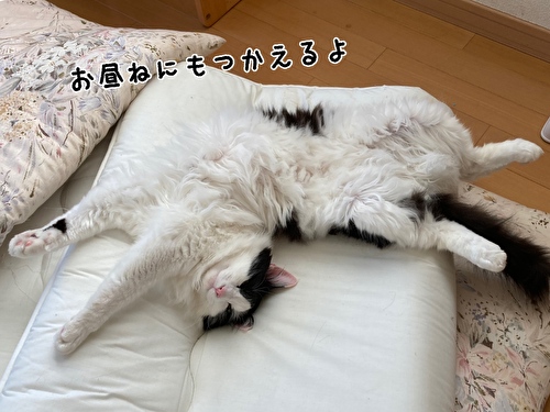 f:id:fukufukudo:20210426094218j:plain