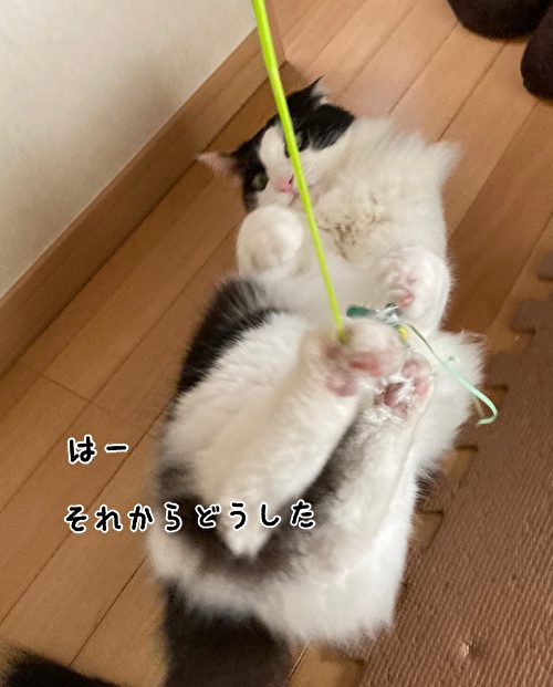 f:id:fukufukudo:20210427164419j:plain