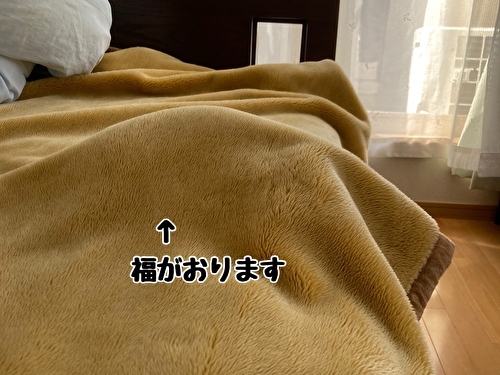 f:id:fukufukudo:20210428133015j:plain