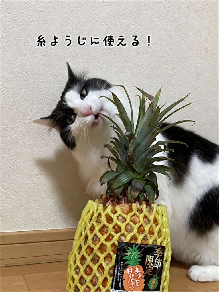 f:id:fukufukudo:20210504152711j:plain