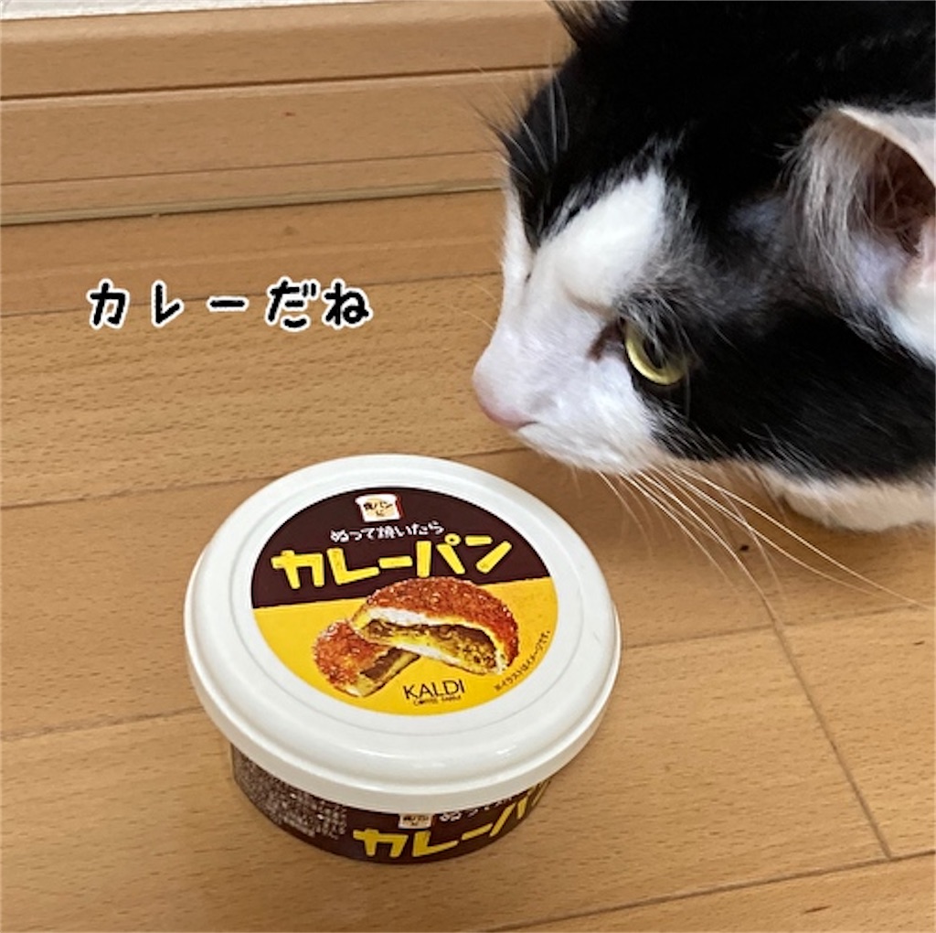 f:id:fukufukudo:20210504152801j:plain