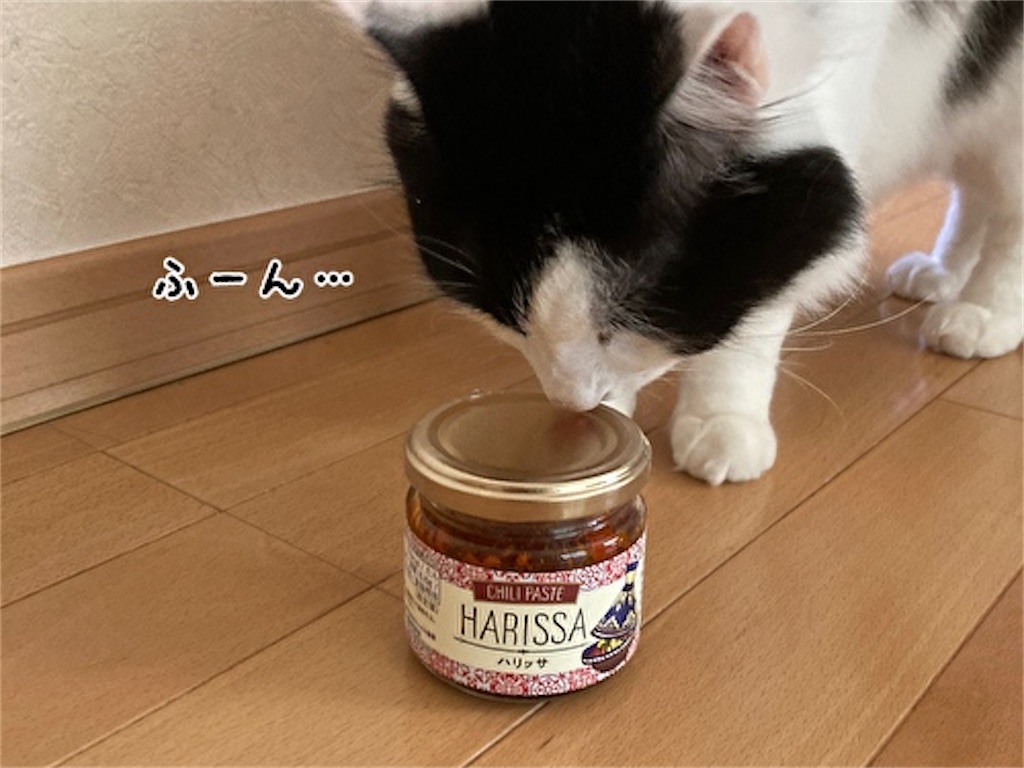 f:id:fukufukudo:20210504152853j:plain