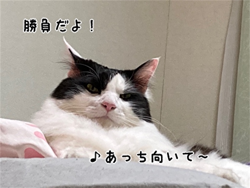 f:id:fukufukudo:20210508142527j:plain