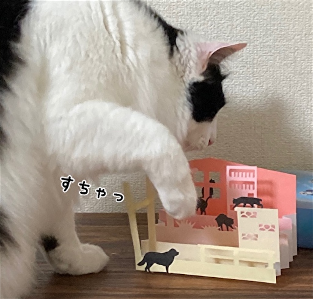 f:id:fukufukudo:20210508173557j:plain