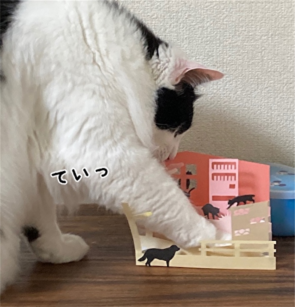 f:id:fukufukudo:20210508173606j:plain